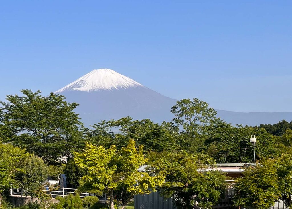藤の煌から見える富士山